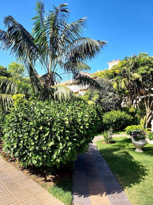 Apto Super Luminoso Puerto de la Cruz  Dış mekan fotoğraf